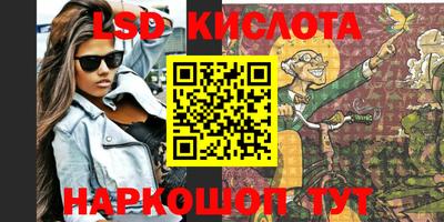 крисы Братск