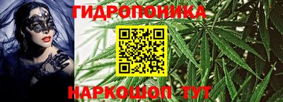 крисы Братск