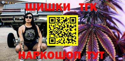 spice Брянск