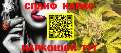 spice Брянск
