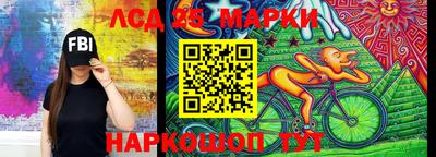 spice Брянск