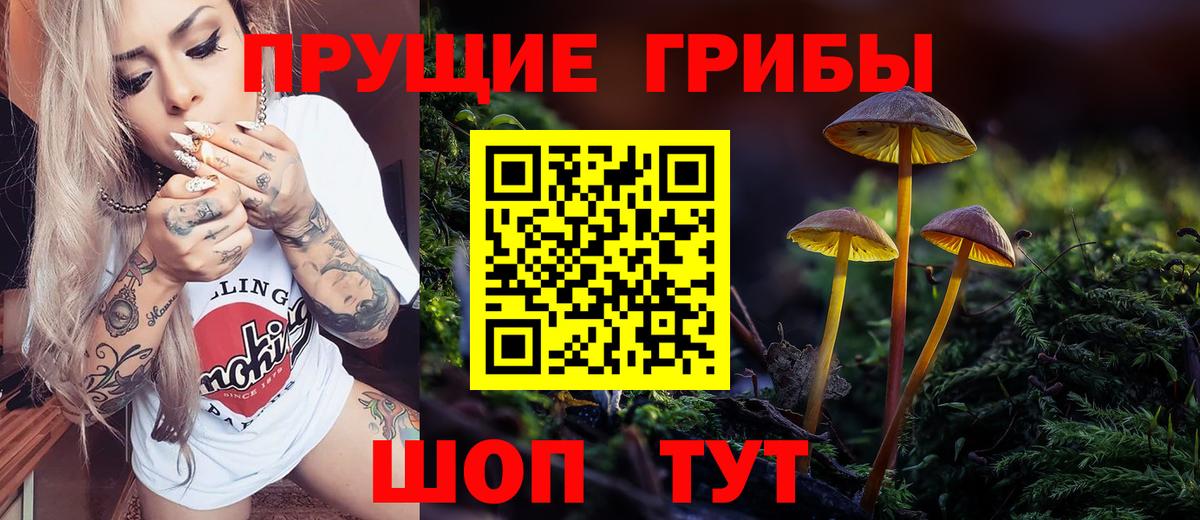 Галлюциногенные грибы прущие грибы  Галлюциногенные грибы Psilocybe  Нижневартовск  цены   Вход с VPN 